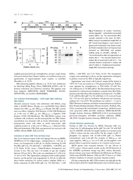 File:20250323102428!Hallin J Neurochem.pdf