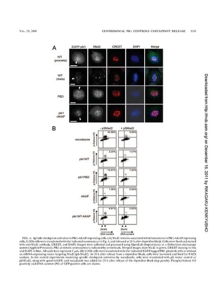 File:Page12-635px-Kishi mol cell biol.pdf.jpg