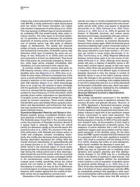 File:20250323102925!Hayashi majewska neuron.pdf