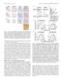 Thumbnail for version as of 06:17, 11 April 2026