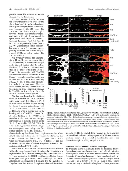 File:20250323102630!Sala J Neurosci.pdf