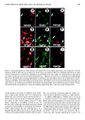 Thumbnail for version as of 06:17, 11 April 2026