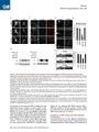 Thumbnail for version as of 06:18, 11 April 2026