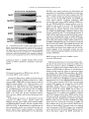 Thumbnail for version as of 06:17, 11 April 2026