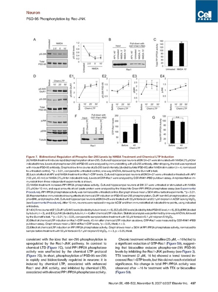 File:20250323102919!Kim neuron.pdf