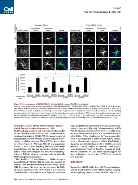 File:20250323102919!Kim neuron.pdf