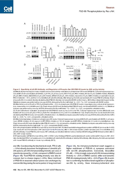 File:20250323102919!Kim neuron.pdf