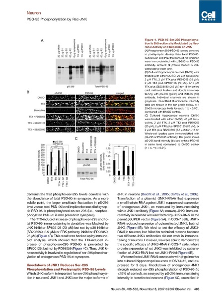 File:20250323102919!Kim neuron.pdf