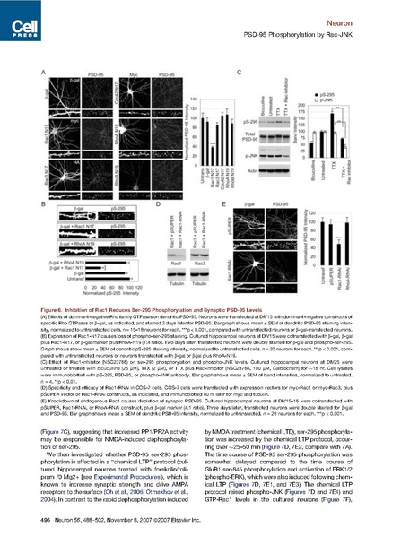 File:20250323102919!Kim neuron.pdf
