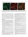 Thumbnail for version as of 06:17, 11 April 2026