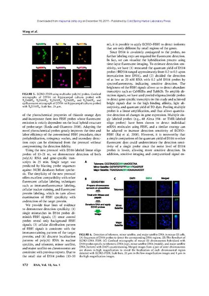 File:Page7-635px-Wang rna.pdf.jpg