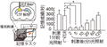 Thumbnail for version as of 06:17, 11 April 2026