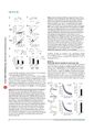 Thumbnail for version as of 06:18, 11 April 2026