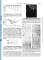 Thumbnail for version as of 06:17, 11 April 2026