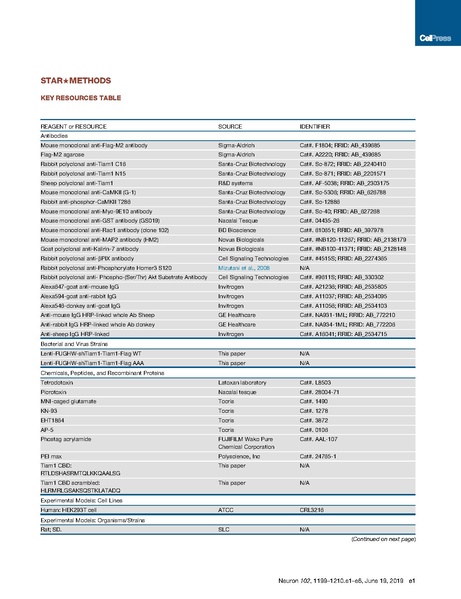 File:20250323102525!Saneyoshi Neuron 2019.pdf