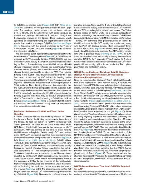 File:20250323102525!Saneyoshi Neuron 2019.pdf