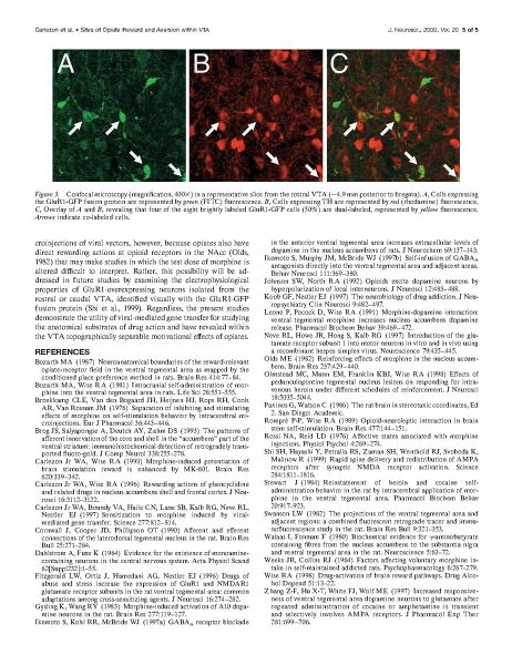 File:Page5-924px-Carlezon J Neurosci.pdf.jpg
