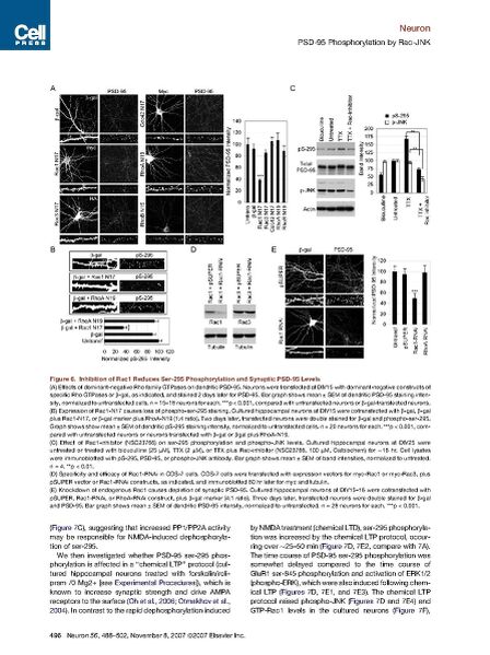 File:Page9-894px-Kim Neuron 2007.pdf.jpg