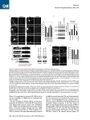 Thumbnail for version as of 06:18, 11 April 2026