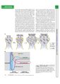 Thumbnail for version as of 06:18, 11 April 2026