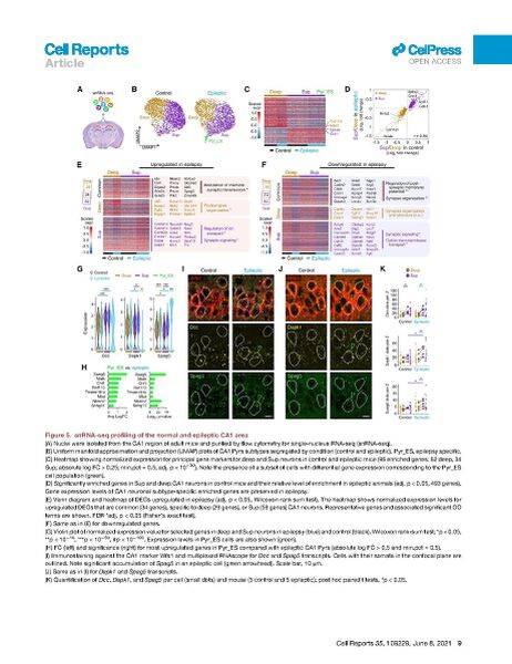 File:Page10-922px-Cid Cell Rep 2021.pdf.jpg