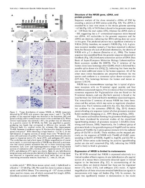 File:Page3-924px-Nishi J Neurosci 2001.pdf.jpg