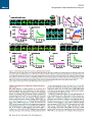 Thumbnail for version as of 06:18, 11 April 2026