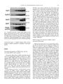 Thumbnail for version as of 06:17, 11 April 2026