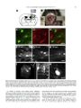 Thumbnail for version as of 06:17, 11 April 2026