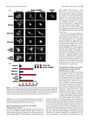 Thumbnail for version as of 06:17, 11 April 2026