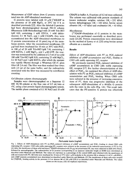 File:20250323102457!Negishi Biochim Biophys Acta.pdf