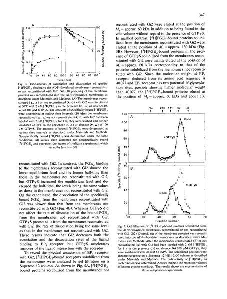 File:20250323102457!Negishi Biochim Biophys Acta.pdf