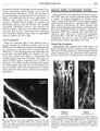 Thumbnail for version as of 06:17, 11 April 2026