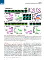 Thumbnail for version as of 06:18, 11 April 2026