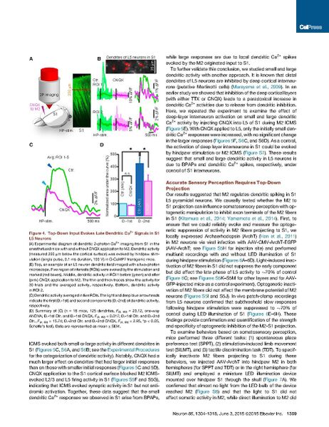 File:Page7-922px-Manita Neuron.pdf.jpg