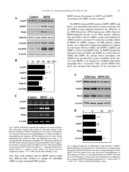 File:20250323103006!Jourdi Dev Biol.pdf