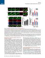 Thumbnail for version as of 06:18, 11 April 2026