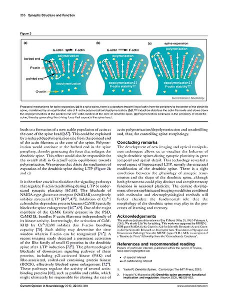 File:Page4-694px-Bosch Curr Opin Neurobiol.pdf.jpg