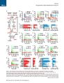 Thumbnail for version as of 06:18, 11 April 2026
