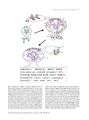Thumbnail for version as of 06:17, 11 April 2026