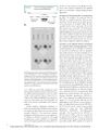 Thumbnail for version as of 06:17, 11 April 2026