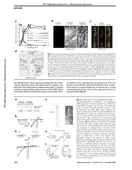 File:20250323102818!Zhu Nature Neurosci.pdf