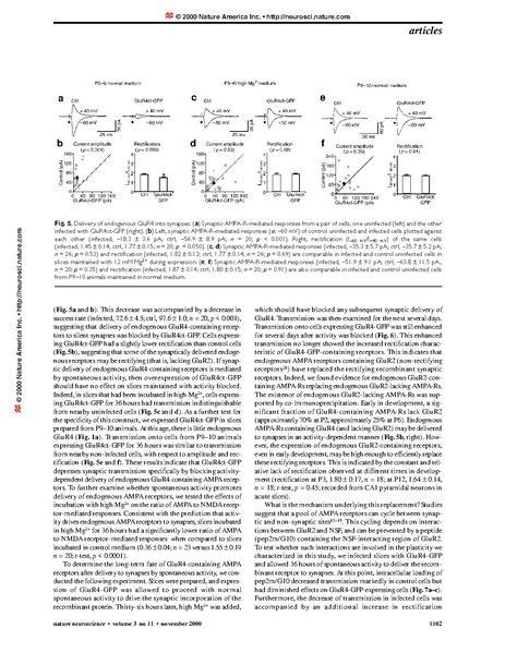 File:20250323102818!Zhu Nature Neurosci.pdf