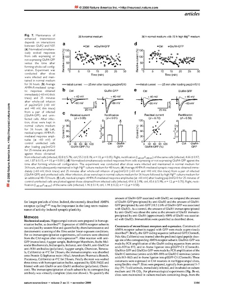 File:20250323102818!Zhu Nature Neurosci.pdf