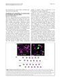 Thumbnail for version as of 06:17, 11 April 2026