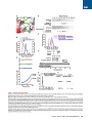 Thumbnail for version as of 06:17, 11 April 2026