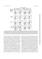 Thumbnail for version as of 06:17, 11 April 2026
