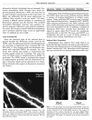 Thumbnail for version as of 06:17, 11 April 2026