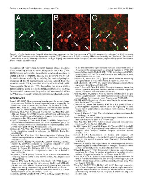 File:Page5-693px-Carlezon J Neurosci.pdf.jpg