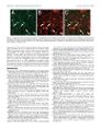 Thumbnail for version as of 06:17, 11 April 2026